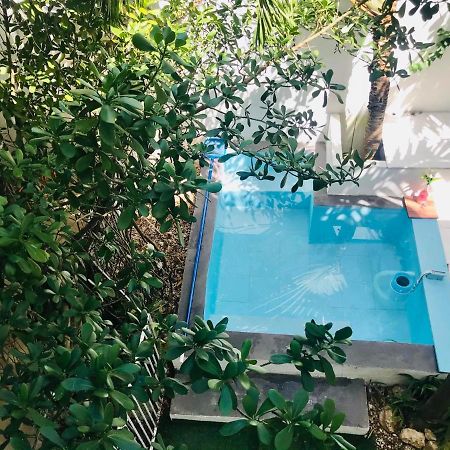 Cozy Tiny Studio Acasadialexplayadelcarmen 普拉亚卡门 外观 照片