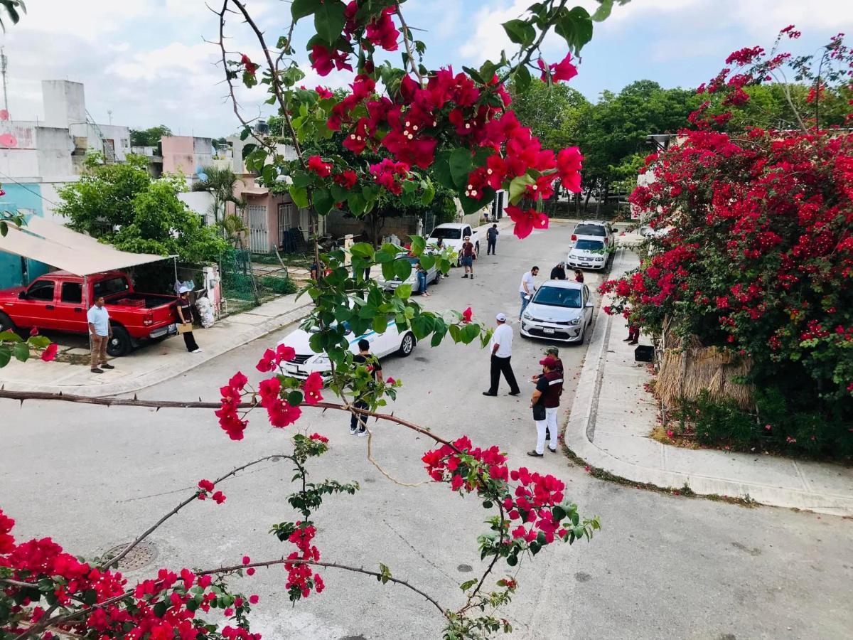 Cozy Tiny Studio Acasadialexplayadelcarmen 普拉亚卡门 外观 照片