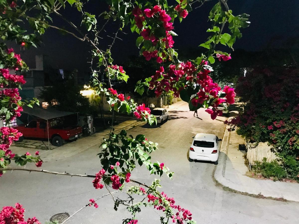Cozy Tiny Studio Acasadialexplayadelcarmen 普拉亚卡门 外观 照片