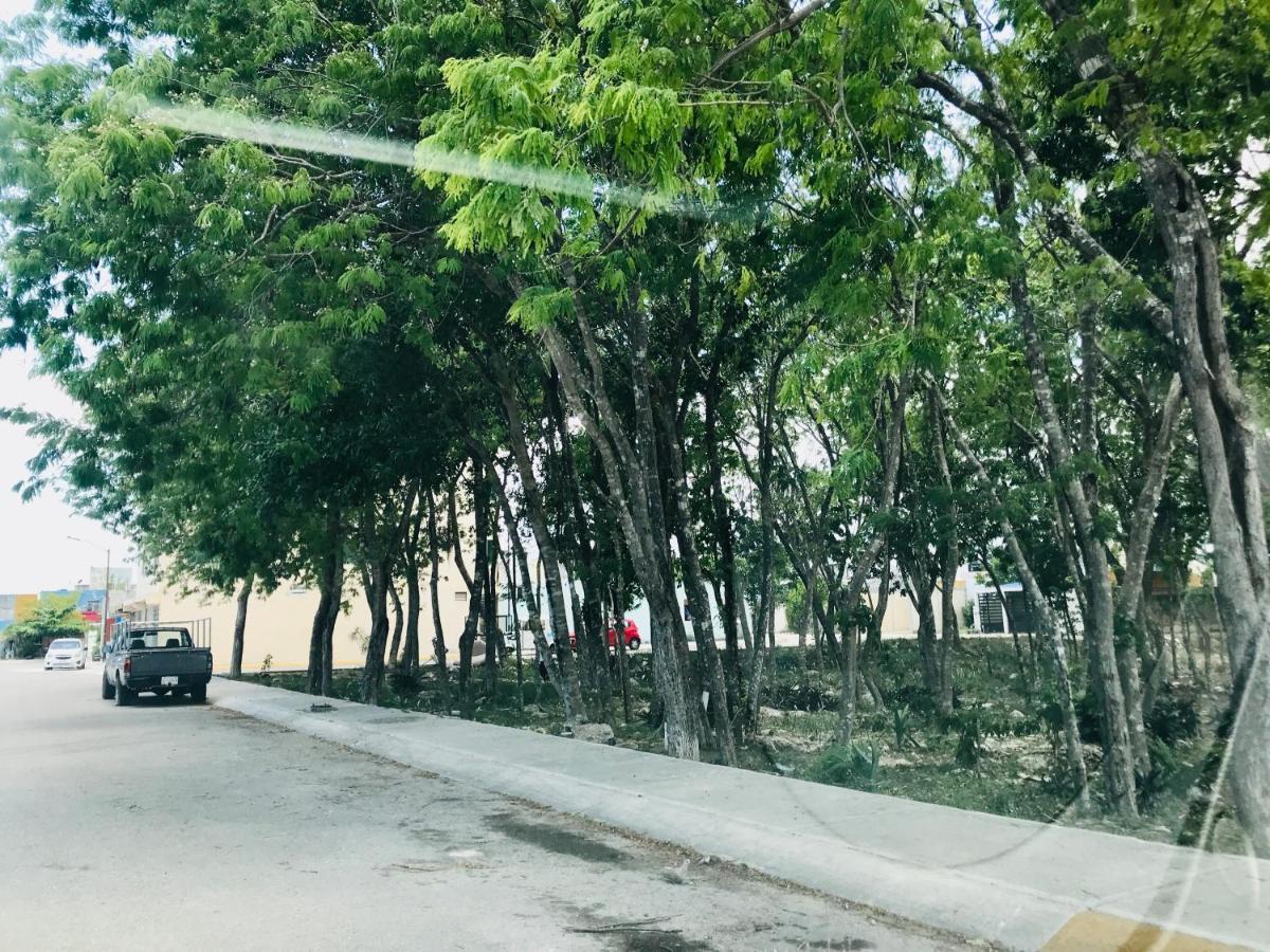 Cozy Tiny Studio Acasadialexplayadelcarmen 普拉亚卡门 外观 照片