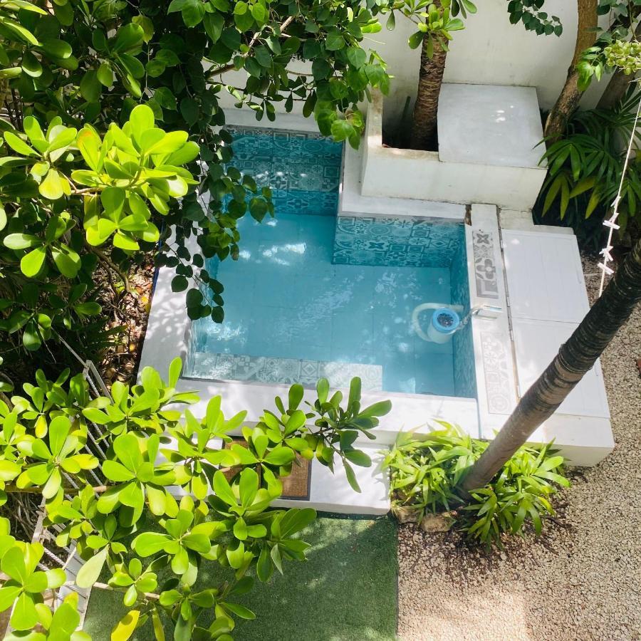 Cozy Tiny Studio Acasadialexplayadelcarmen 普拉亚卡门 外观 照片