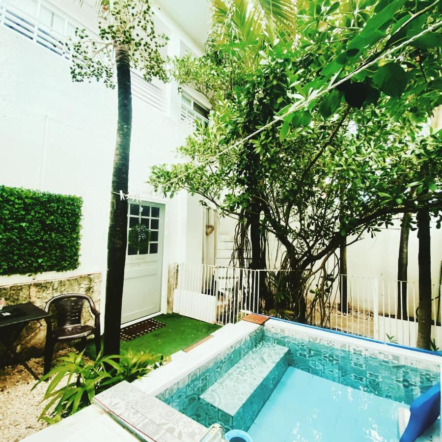 Cozy Tiny Studio Acasadialexplayadelcarmen 普拉亚卡门 外观 照片
