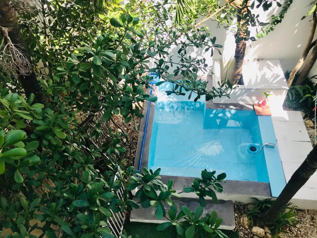 Cozy Tiny Studio Acasadialexplayadelcarmen 普拉亚卡门 外观 照片