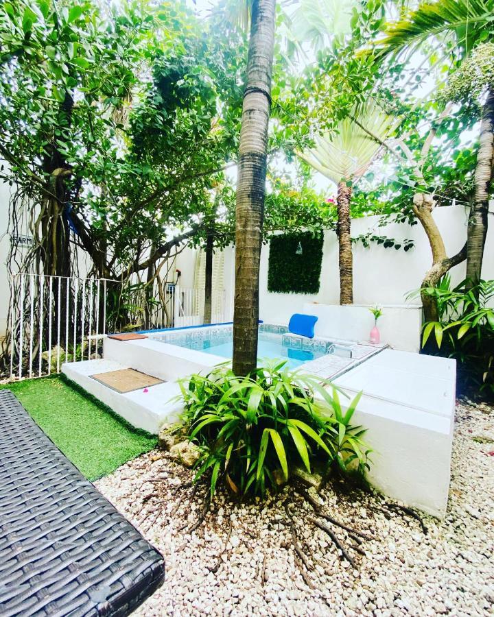 Cozy Tiny Studio Acasadialexplayadelcarmen 普拉亚卡门 外观 照片