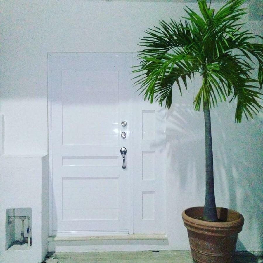 Cozy Tiny Studio Acasadialexplayadelcarmen 普拉亚卡门 外观 照片